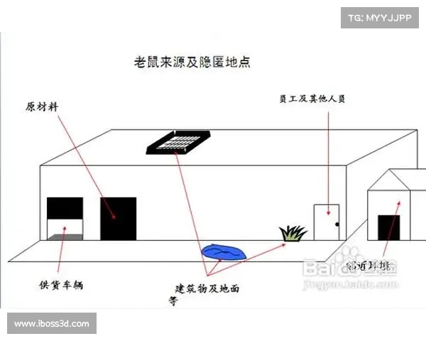 隐匿洞穴行动中的五大关键技术及其应用探索 隐匿洞穴行动中的五大关键技术及其应用探索